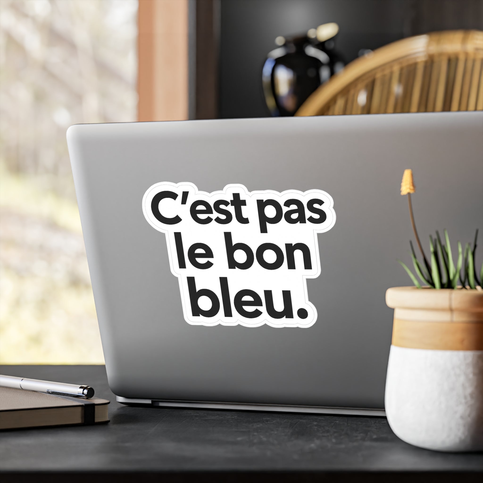 C'est pas le bon bleu