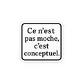ce n'est pas moche c'est conceptuel