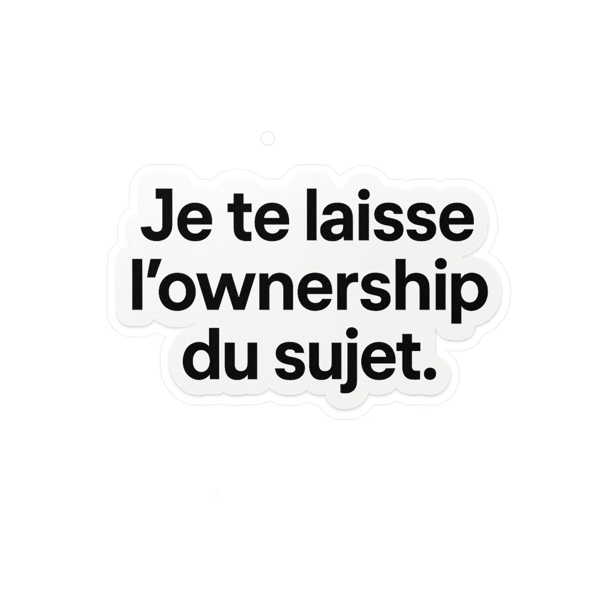 je te laisse l'ownership du sujet